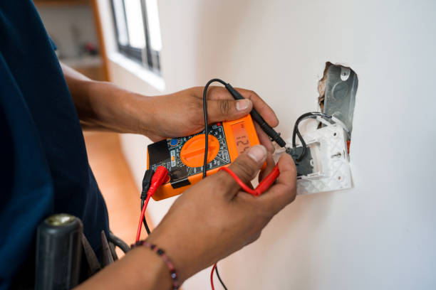 Best Home Electrical Repair  in Albany, WI