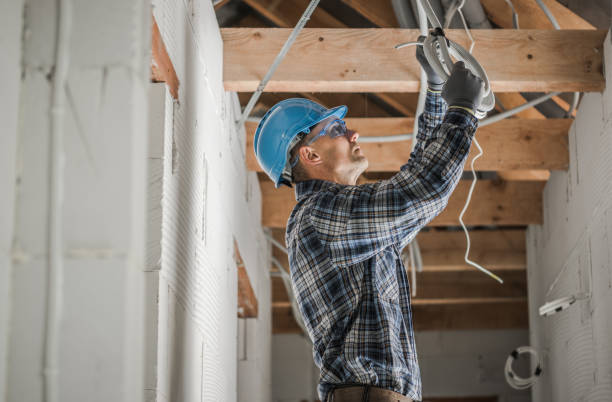 Best Electrical Upgrades for Homes  in Albany, WI