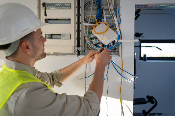 Best Electrical Upgrades for Homes  in Albany, WI